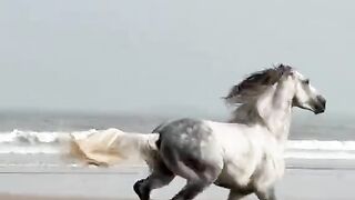 Winds of Freedom Lessons from the Track