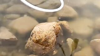 Stop scrolling!  These  hidden gems are designed to make your life smoother and smarter.