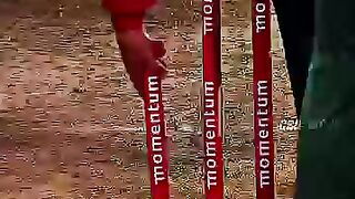 Cricket news 162