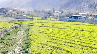 Village trip