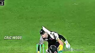Cricket news 170