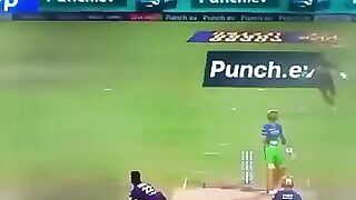 Cricket news 185