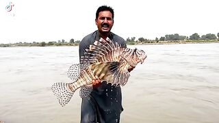 Amazing Real Fish