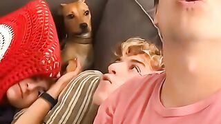Funny dog 71