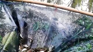 Fishing 66
