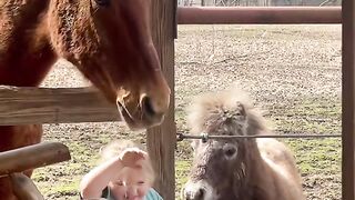 The innocent and pure love between horses and children