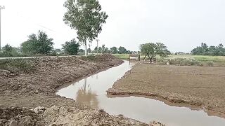 Gujrat 6