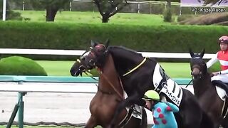 The anger of the horses
