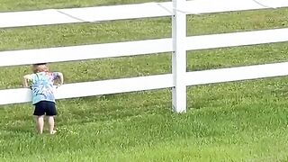 A Childs Heartfelt Request to See the Horses