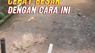TERBUKTIIkan lele cepat BESAR dengan cara ini