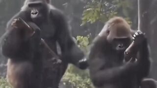 Infonya sudah pisah ranjang