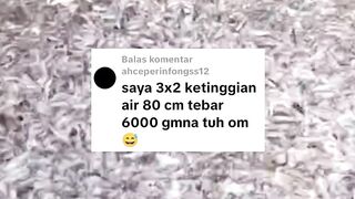 Bukannya saya melarang TEBAR PADAT, tapi saya ingin PEMULA lancar saat belajar