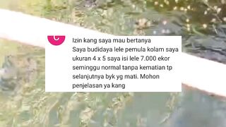 Baru kemarin saya ingatkan  Sekarang ada yang KAMBUH lagi