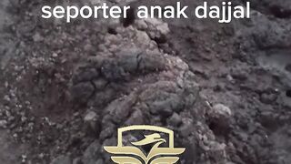 RAIH PELUANG MAXWIN HANYA DI ALFABET88