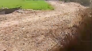 محبتوں کا شکر یہ