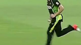 Cricket news 200