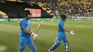 Cricket news 213