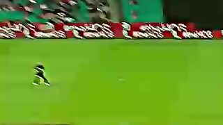 Cricket news 217