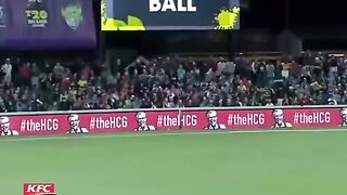 Cricket news 221