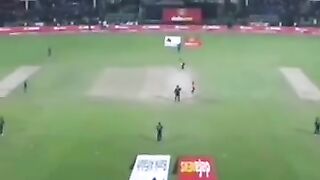 Cricket news 226