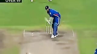 Cricket news 227