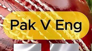 Cricket news 228
