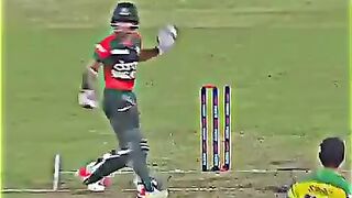 Cricket news 230
