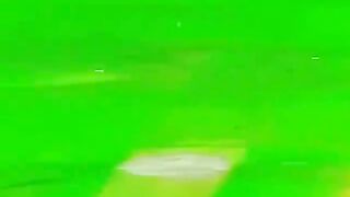 Cricket news 231