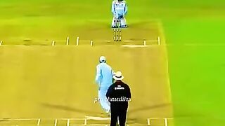 Cricket news 238