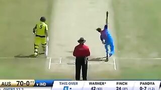 Cricket neww
