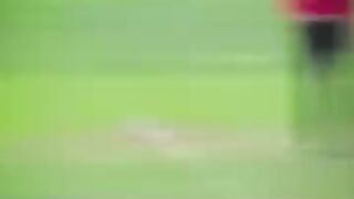 Cricket news 244