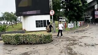 cameraman could not be saved