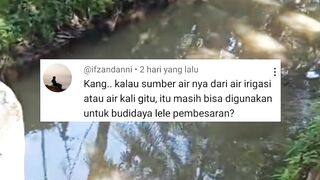Air dari SUNGAIIRIGASI apakah bisa untuk budidaya lele Berikut penjelasannya