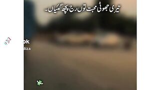 Shair 7