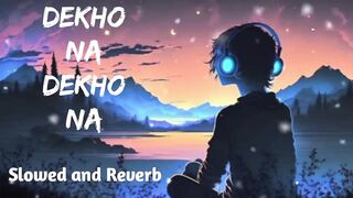 Dekho na Dekho na Zulfon se Lofi Song Slowed and Reverb Anuu Tain song