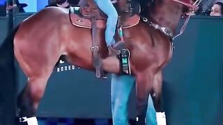 A little girl who is great at riding a horse and controls it.