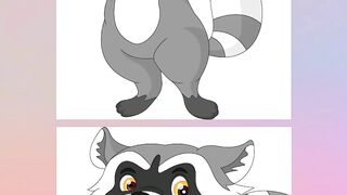 Raccoon   Spot the Difference Challenge