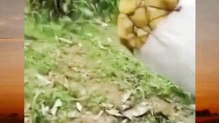kalau gini konsepnya gimana ?