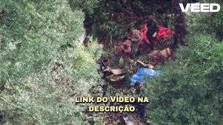[Completo] mamonas assassinas portal zacarias morte portal zacarias mamonas assassinas acidente