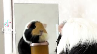 Гарне відео