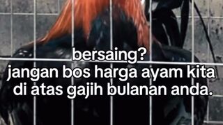 DAFTAR BOSPLAY AGEN SABUNG AYAM ONLINE TERBESAR RESMI AMAN DAN TERPERCAYA 25
