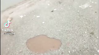 Housefly Calls Her Family to eat Together