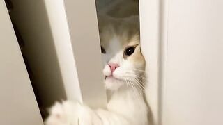 Let him in please