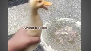 saay ayang sedang marah , hahaha memelucu