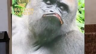 Cewe kalau ngambek gini ? emang bener gezz?