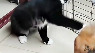 Enemies 2