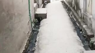 travelling vlog l TOTAL WORLD