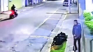 Dog rescued by owner in Brazil