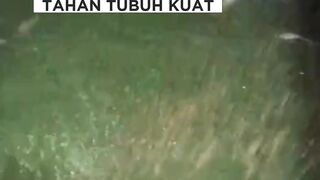 Aquacure vs MaxiCure Lebih bagus mana dan apa perbedaannya