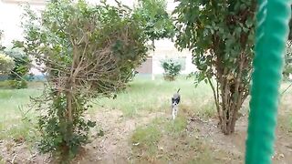 Tuxedo cat is approaching me little by little with a funny meow.